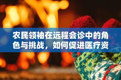农民领袖在远程会诊中的角色与挑战，如何促进医疗资源均衡分配？