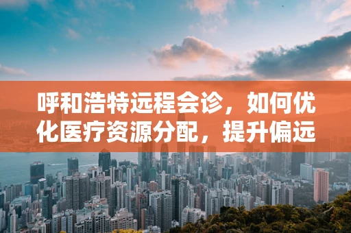 呼和浩特远程会诊，如何优化医疗资源分配，提升偏远地区医疗服务？