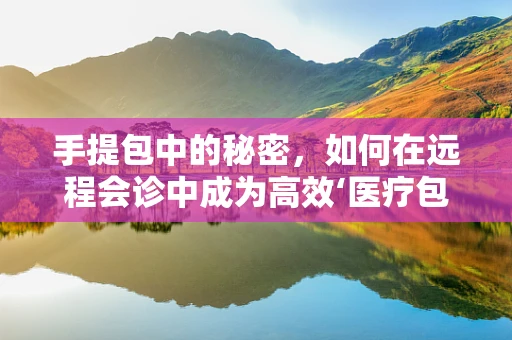 手提包中的秘密，如何在远程会诊中成为高效‘医疗包’？
