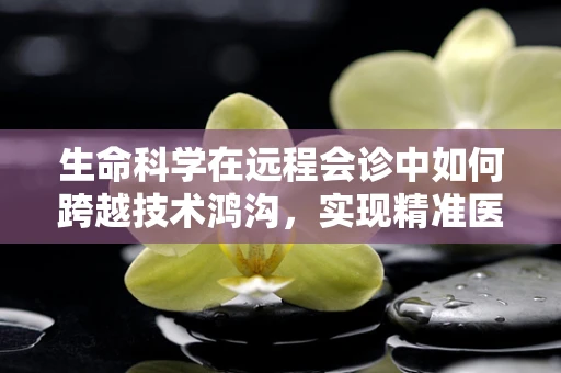 生命科学在远程会诊中如何跨越技术鸿沟，实现精准医疗？