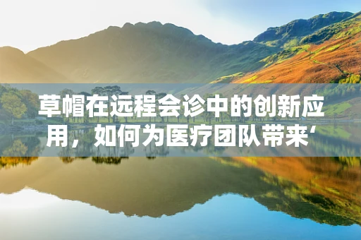 草帽在远程会诊中的创新应用，如何为医疗团队带来‘遮阳’的智慧？