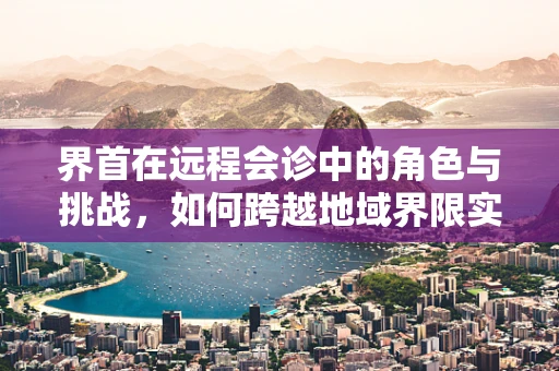 界首在远程会诊中的角色与挑战，如何跨越地域界限实现高效协作？