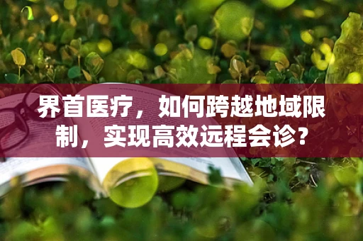 界首医疗，如何跨越地域限制，实现高效远程会诊？