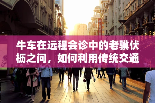 牛车在远程会诊中的老骥伏枥之问，如何利用传统交通工具的智慧，赋能医疗新未来？