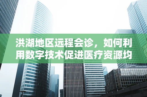 洪湖地区远程会诊，如何利用数字技术促进医疗资源均衡？