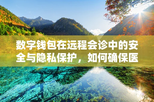 数字钱包在远程会诊中的安全与隐私保护，如何确保医疗数据的‘钱包’安全？