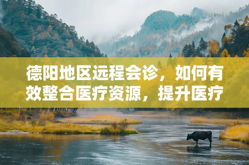 德阳地区远程会诊，如何有效整合医疗资源，提升医疗服务质量？