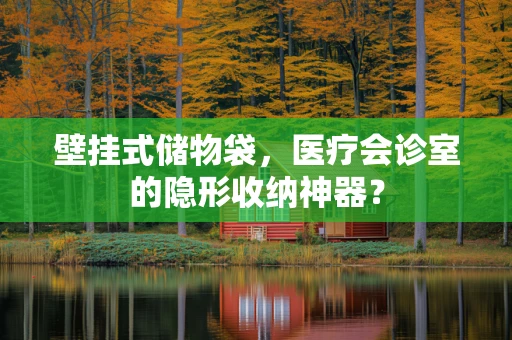 壁挂式储物袋，医疗会诊室的隐形收纳神器？