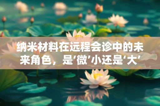 纳米材料在远程会诊中的未来角色，是‘微’小还是‘大’有可为？