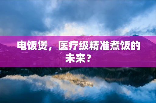 电饭煲，医疗级精准煮饭的未来？