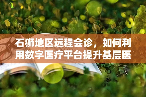 石狮地区远程会诊，如何利用数字医疗平台提升基层医疗服务质量？