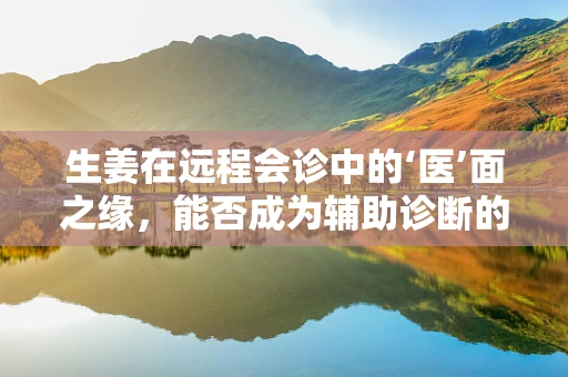 生姜在远程会诊中的‘医’面之缘，能否成为辅助诊断的新星？
