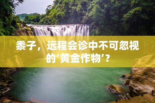 黍子，远程会诊中不可忽视的‘黄金作物’？
