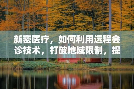 新密医疗，如何利用远程会诊技术，打破地域限制，提升基层医疗服务质量？