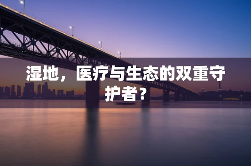 湿地，医疗与生态的双重守护者？